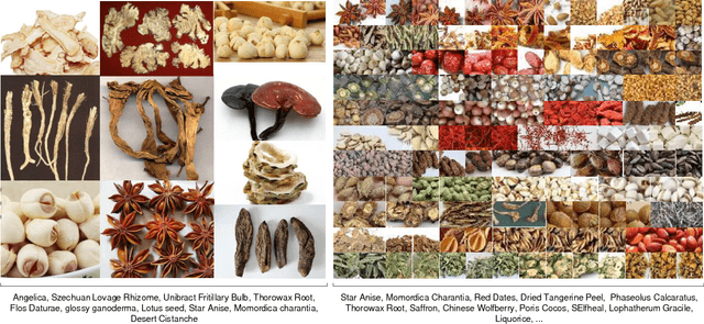 Figure 1 for Chinese Herbal Recognition based on Competitive Attentional Fusion of Multi-hierarchies Pyramid Features