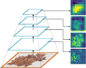 Figure 3 for Chinese Herbal Recognition based on Competitive Attentional Fusion of Multi-hierarchies Pyramid Features