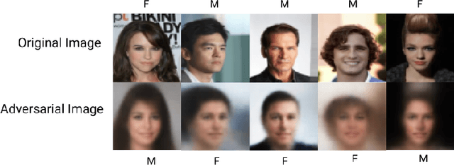 Figure 4 for Generating Out of Distribution Adversarial Attack using Latent Space Poisoning