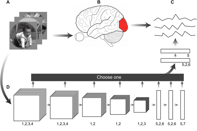 Figure 2 for A visual encoding model based on deep neural networks and transfer learning