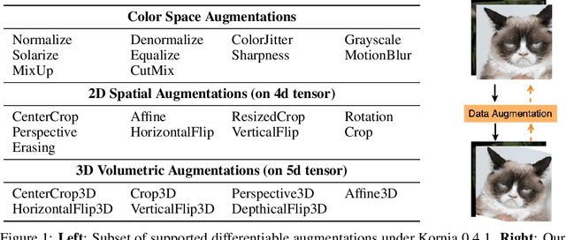 Figure 1 for Differentiable Data Augmentation with Kornia