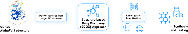 Figure 2 for AlphaFold Accelerates Artificial Intelligence Powered Drug Discovery: Efficient Discovery of a Novel Cyclin-dependent Kinase 20 (CDK20) Small Molecule Inhibitor