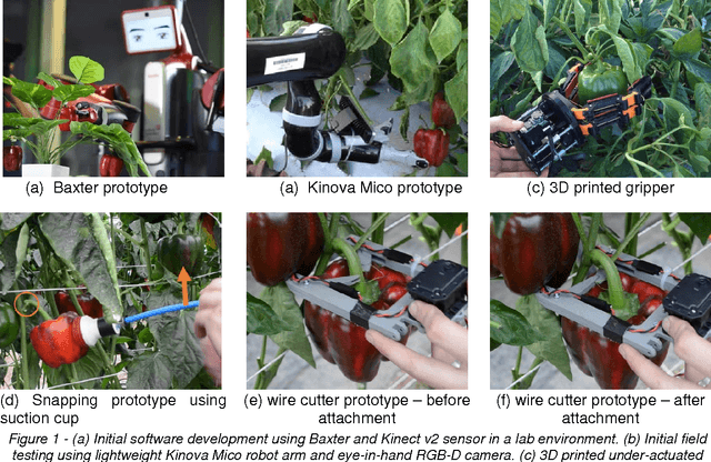 Figure 1 for Lessons Learnt from Field Trials of a Robotic Sweet Pepper Harvester