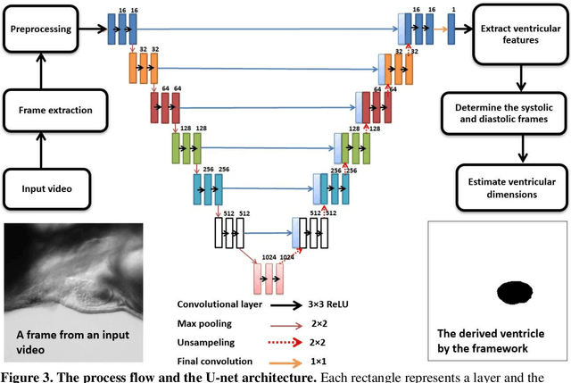 Figure 3 for Deep learning-based framework for cardiac function assessment in embryonic zebrafish from heart beating videos