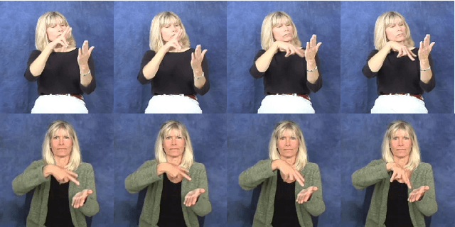 Figure 1 for Word-level Deep Sign Language Recognition from Video: A New Large-scale Dataset and Methods Comparison
