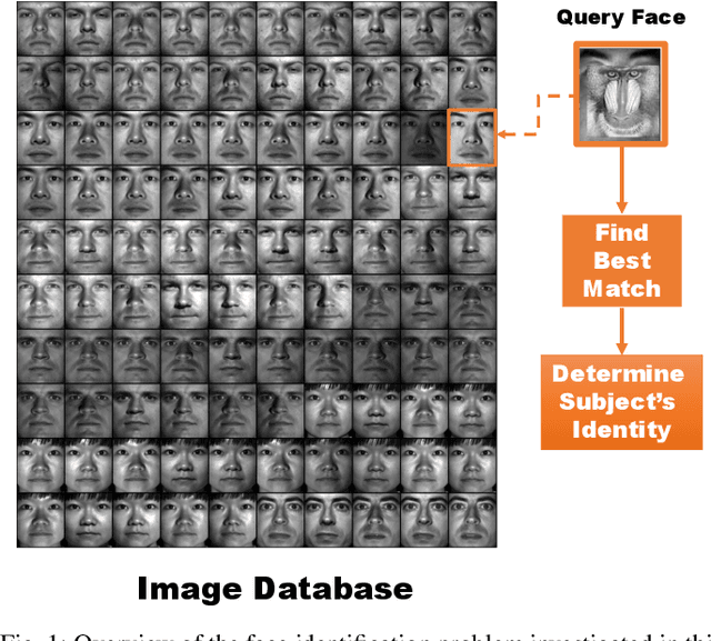 Figure 1 for Robust and Low-Rank Representation for Fast Face Identification with Occlusions
