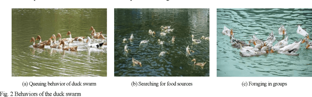 Figure 3 for Duck swarm algorithm: a novel swarm intelligence algorithm