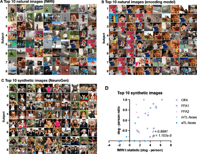 Figure 4 for NeuroGen: activation optimized image synthesis for discovery neuroscience
