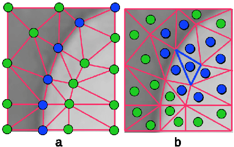 Figure 1 for Adaptive Mesh Representation and Restoration of Biomedical Images
