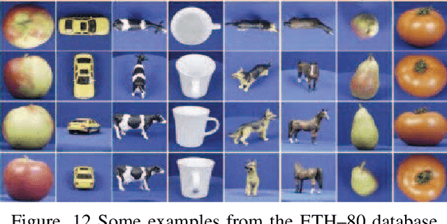 Figure 4 for ODMTCNet: An Interpretable Multi-view Deep Neural Network Architecture for Image Feature Representation