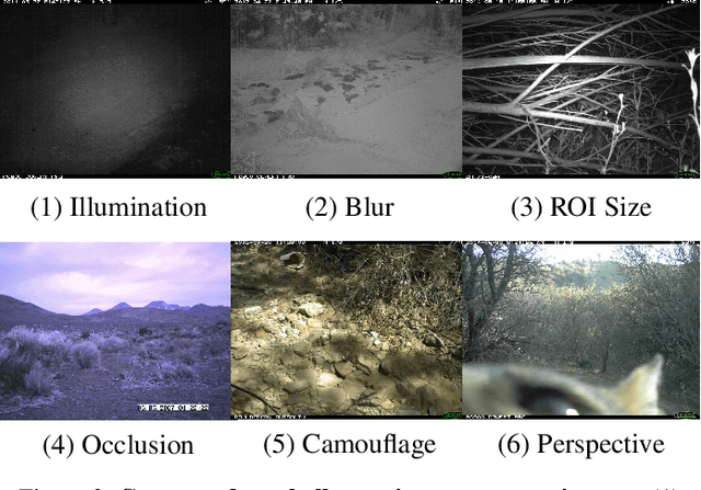 Figure 3 for The iWildCam 2021 Competition Dataset