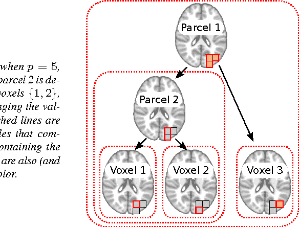 Figure 1 for Multi-scale Mining of fMRI data with Hierarchical Structured Sparsity