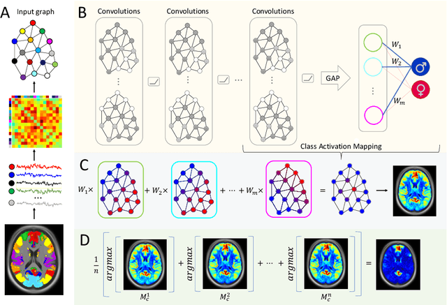 Figure 1 for Graph Saliency Maps through Spectral Convolutional Networks: Application to Sex Classification with Brain Connectivity