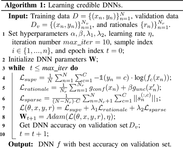 Figure 2 for Learning Credible Deep Neural Networks with Rationale Regularization