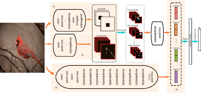 Figure 3 for Real Time Fine-Grained Categorization with Accuracy and Interpretability