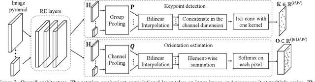 Figure 3 for Self-Supervised Equivariant Learning for Oriented Keypoint Detection