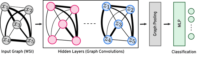 Figure 3 for Representation Learning of Histopathology Images using Graph Neural Networks