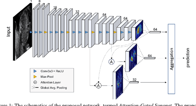 Figure 1 for Attention-Gated Networks for Improving Ultrasound Scan Plane Detection