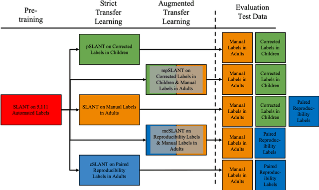 Figure 2 for Generalizing Deep Whole Brain Segmentation for Pediatric and Post-Contrast MRI with Augmented Transfer Learning