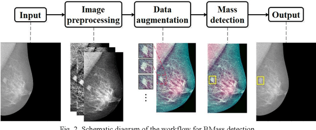 Figure 3 for Breast mass detection in digital mammography based on anchor-free architecture