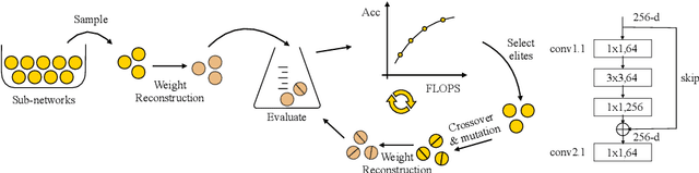 Figure 3 for EAPruning: Evolutionary Pruning for Vision Transformers and CNNs