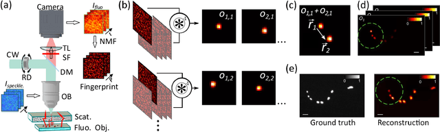 Figure 1 for Large field-of-view non-invasive imaging through scattering layers using fluctuating random illumination