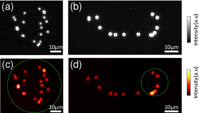 Figure 2 for Large field-of-view non-invasive imaging through scattering layers using fluctuating random illumination