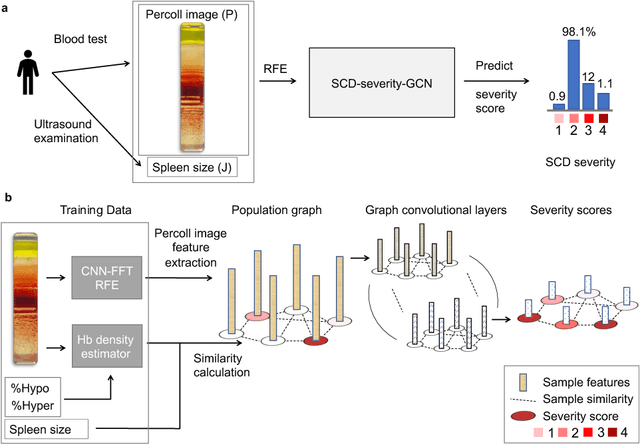 Figure 1 for Sickle Cell Disease Severity Prediction from Percoll Gradient Images using Graph Convolutional Networks