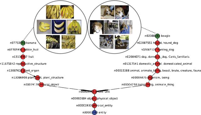 Figure 3 for Multifaceted Analysis of Fine-Tuning in Deep Model for Visual Recognition