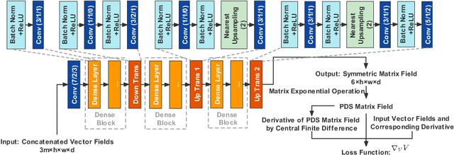 Figure 1 for Deep Learning the Shape of the Brain Connectome