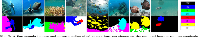 Figure 3 for Semantic Segmentation of Underwater Imagery: Dataset and Benchmark
