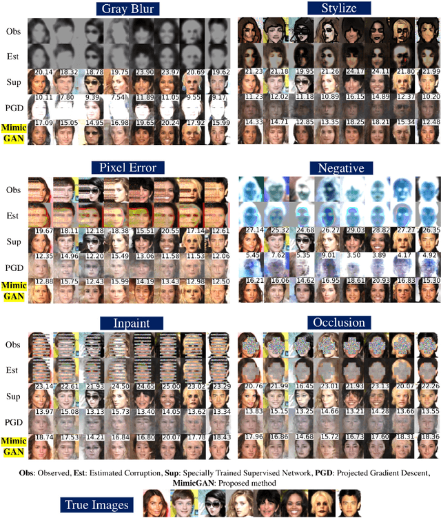 Figure 3 for MimicGAN: Corruption-Mimicking for Blind Image Recovery & Adversarial Defense
