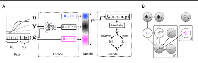 Figure 1 for Efficient Amortised Bayesian Inference for Hierarchical and Nonlinear Dynamical Systems