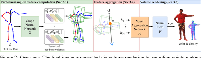 Figure 2 for DANBO: Disentangled Articulated Neural Body Representations via Graph Neural Networks
