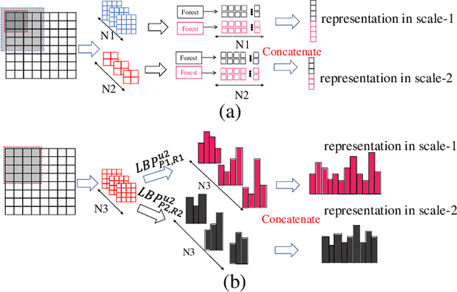 Figure 4 for Learning deep forest with multi-scale Local Binary Pattern features for face anti-spoofing