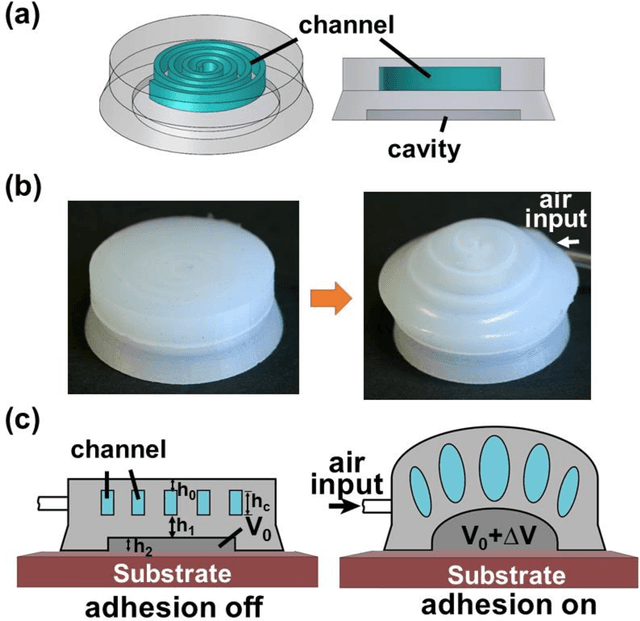 Figure 1 for Switchable Adhesion Actuator for Amphibious Climbing Soft Robot