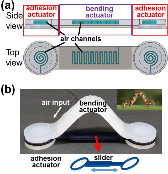 Figure 4 for Switchable Adhesion Actuator for Amphibious Climbing Soft Robot