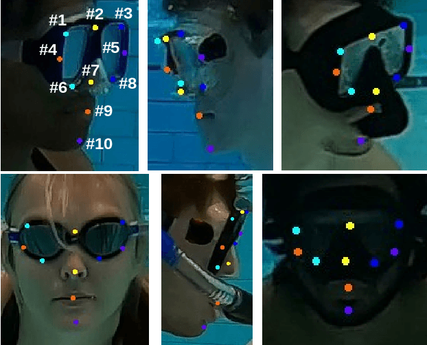Figure 3 for Visual Detection of Diver Attentiveness for Underwater Human-Robot Interaction