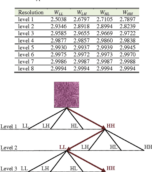 Figure 3 for A fractal dimension based optimal wavelet packet analysis technique for classification of meningioma brain tumours