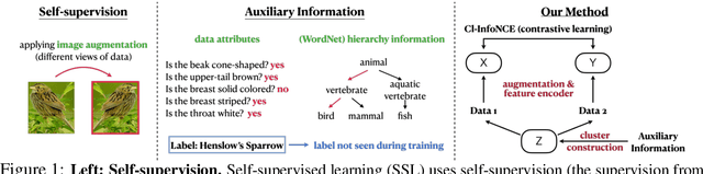 Figure 1 for Integrating Auxiliary Information in Self-supervised Learning