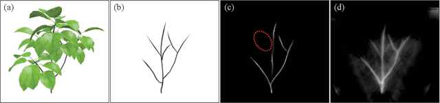 Figure 4 for Probabilistic Plant Modeling via Multi-View Image-to-Image Translation