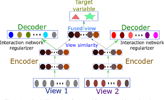 Figure 1 for Multi-view Factorization AutoEncoder with Network Constraints for Multi-omic Integrative Analysis