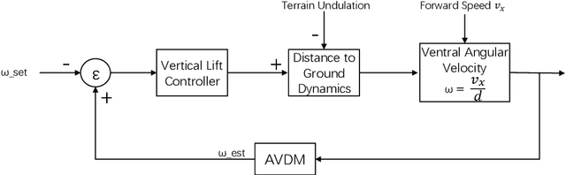 Figure 4 for Constant Angular Velocity Regulation for Visually Guided Terrain Following