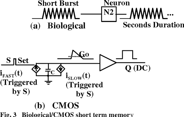Figure 1 for Artificial Brain Based on Credible Neural Circuits in a Human Brain