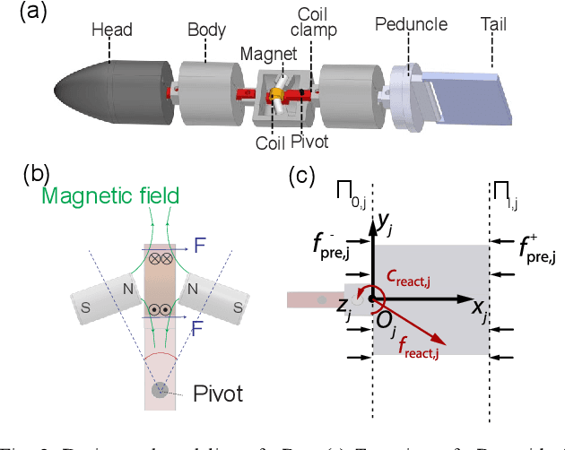 Figure 2 for Effects of Design and Hydrodynamic Parameters on Optimized Swimming for Simulated, Fish-inspired Robots