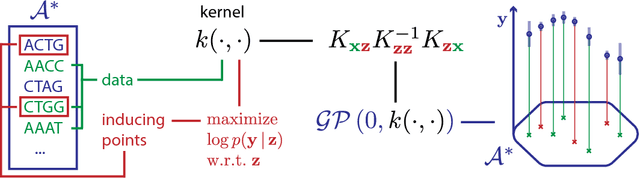 Figure 1 for Scalable Gaussian Processes on Discrete Domains