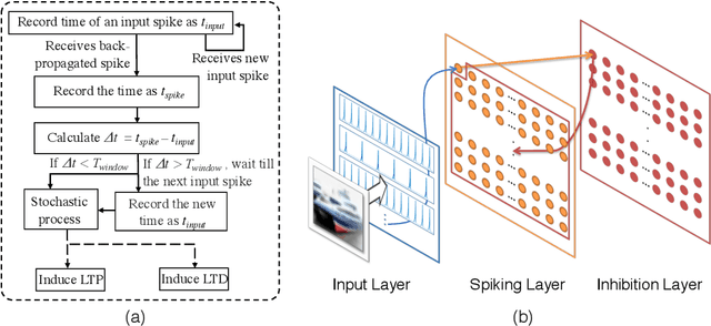 Figure 1 for ScieNet: Deep Learning with Spike-assisted Contextual Information Extraction