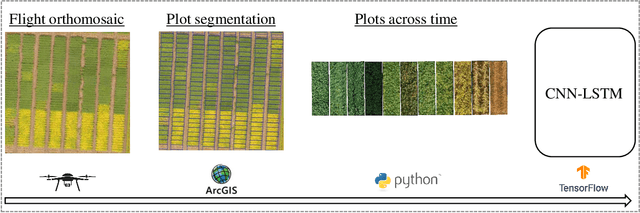 Figure 1 for An Applied Deep Learning Approach for Estimating Soybean Relative Maturity from UAV Imagery to Aid Plant Breeding Decisions