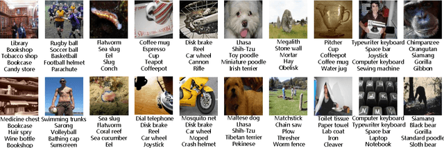Figure 4 for Multiple Instance Learning Convolutional Neural Networks for Object Recognition