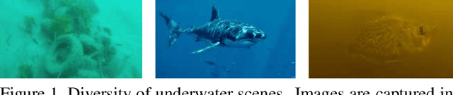 Figure 1 for All-In-One Underwater Image Enhancement using Domain-Adversarial Learning